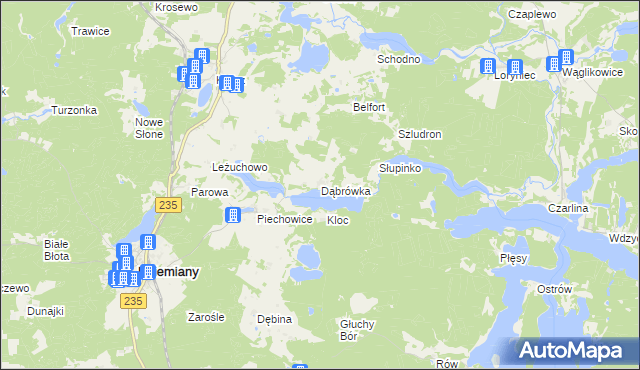 mapa Dąbrówka gmina Dziemiany, Dąbrówka gmina Dziemiany na mapie Targeo