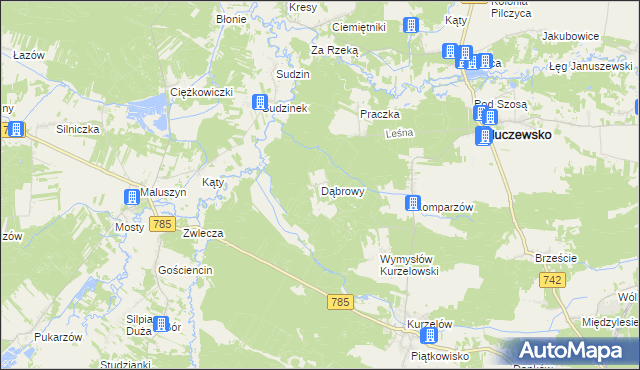 mapa Dąbrowy gmina Kluczewsko, Dąbrowy gmina Kluczewsko na mapie Targeo