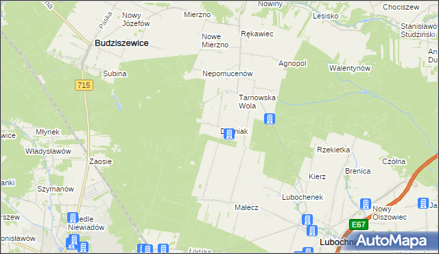 mapa Dębniak gmina Lubochnia, Dębniak gmina Lubochnia na mapie Targeo