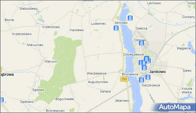 mapa Dobieszewiczki, Dobieszewiczki na mapie Targeo