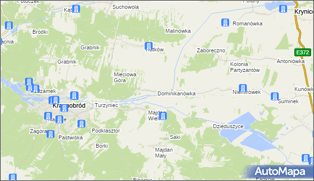 mapa Dominikanówka, Dominikanówka na mapie Targeo