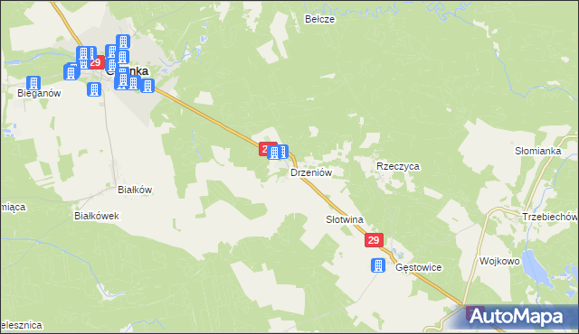 mapa Drzeniów gmina Cybinka, Drzeniów gmina Cybinka na mapie Targeo