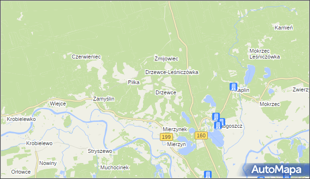 mapa Drzewce gmina Międzychód, Drzewce gmina Międzychód na mapie Targeo