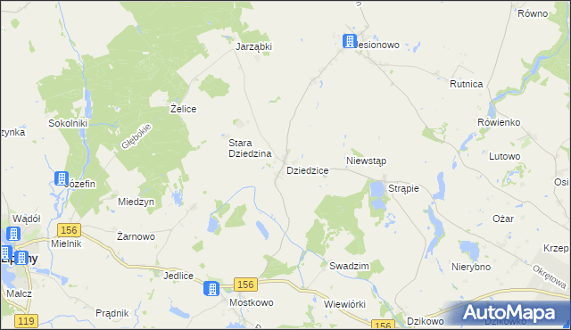 mapa Dziedzice gmina Barlinek, Dziedzice gmina Barlinek na mapie Targeo