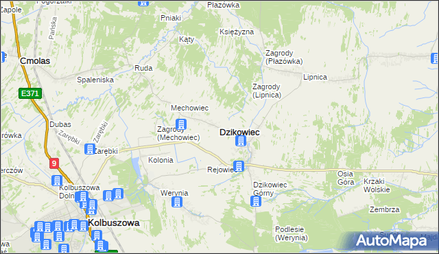 mapa Dzikowiec powiat kolbuszowski, Dzikowiec powiat kolbuszowski na mapie Targeo