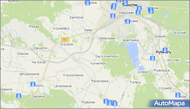 mapa Gaj Koniemłocki, Gaj Koniemłocki na mapie Targeo