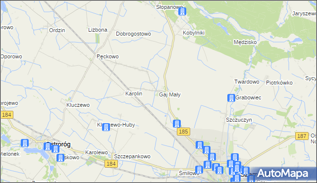 mapa Gaj Mały gmina Obrzycko, Gaj Mały gmina Obrzycko na mapie Targeo