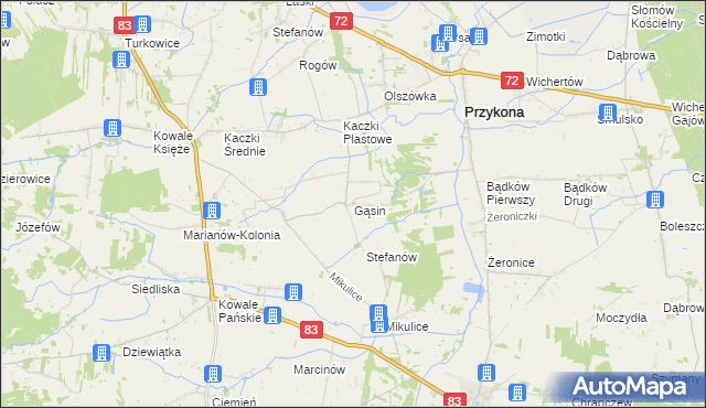 mapa Gąsin, Gąsin na mapie Targeo
