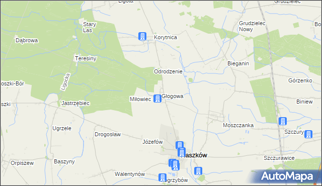 mapa Głogowa gmina Raszków, Głogowa gmina Raszków na mapie Targeo