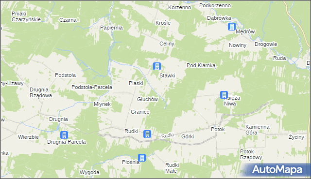 mapa Głuchów-Lasy, Głuchów-Lasy na mapie Targeo