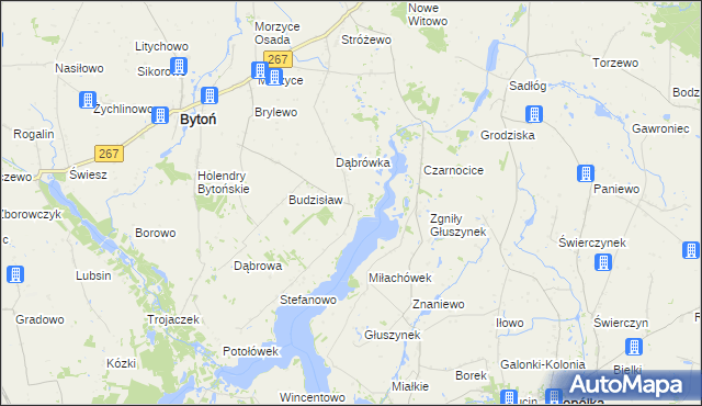 mapa Głuszyn gmina Bytoń, Głuszyn gmina Bytoń na mapie Targeo