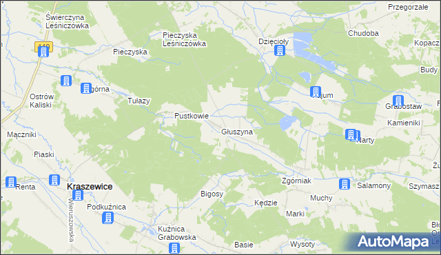 mapa Głuszyna gmina Kraszewice, Głuszyna gmina Kraszewice na mapie Targeo