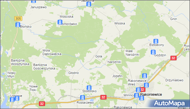 mapa Gola gmina Rakoniewice, Gola gmina Rakoniewice na mapie Targeo