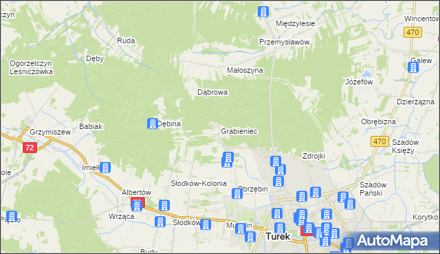 mapa Grabieniec gmina Turek, Grabieniec gmina Turek na mapie Targeo