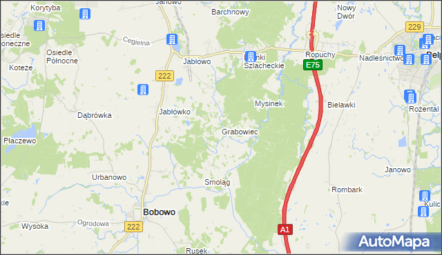 mapa Grabowiec gmina Bobowo, Grabowiec gmina Bobowo na mapie Targeo