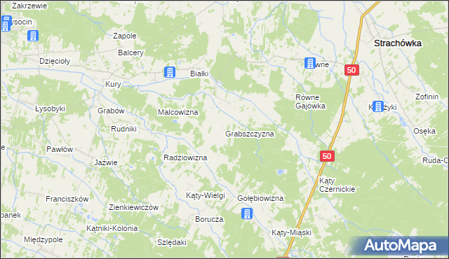 mapa Grabszczyzna, Grabszczyzna na mapie Targeo