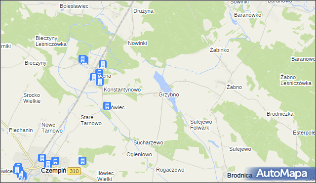 mapa Grzybno gmina Brodnica, Grzybno gmina Brodnica na mapie Targeo