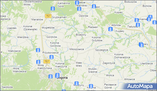 mapa Grzybów gmina Bogoria, Grzybów gmina Bogoria na mapie Targeo