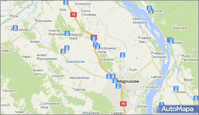 mapa Grzybów gmina Magnuszew, Grzybów gmina Magnuszew na mapie Targeo