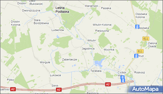 mapa Jagodnica gmina Leśna Podlaska, Jagodnica gmina Leśna Podlaska na mapie Targeo