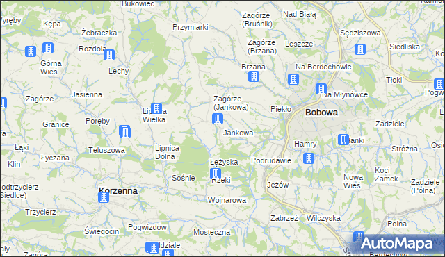 mapa Jankowa gmina Bobowa, Jankowa gmina Bobowa na mapie Targeo