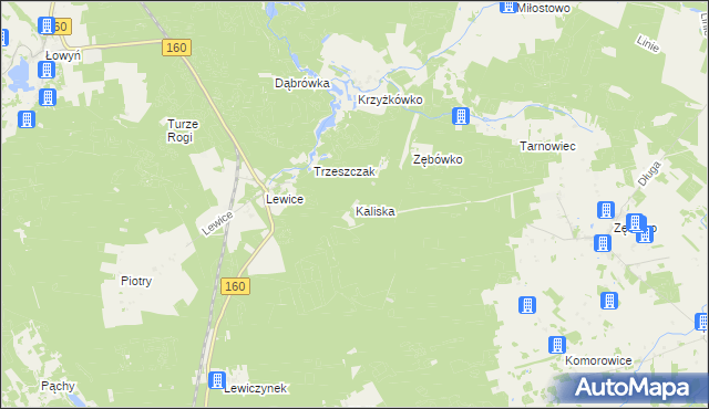 mapa Kaliska gmina Międzychód, Kaliska gmina Międzychód na mapie Targeo