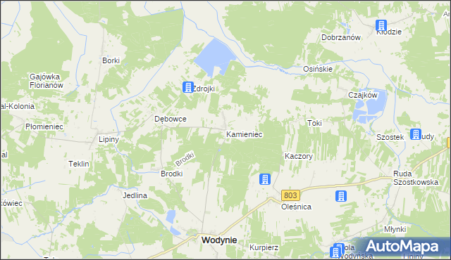 mapa Kamieniec gmina Wodynie, Kamieniec gmina Wodynie na mapie Targeo