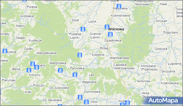 mapa Kobielnik, Kobielnik na mapie Targeo