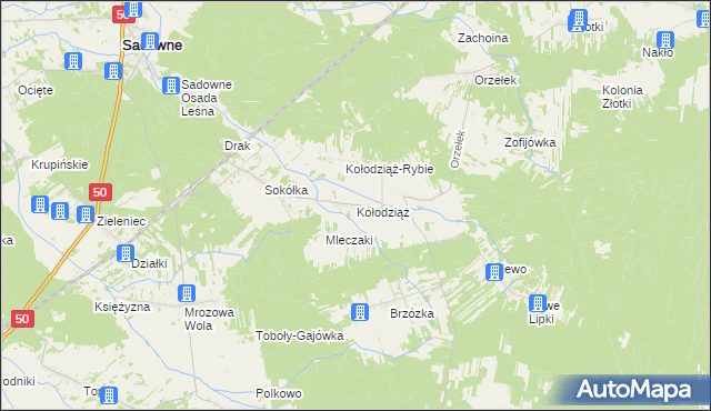 mapa Kołodziąż gmina Sadowne, Kołodziąż gmina Sadowne na mapie Targeo