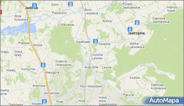 mapa Kolonia Lesiów, Kolonia Lesiów na mapie Targeo