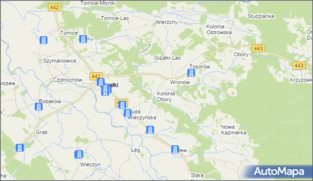 mapa Kolonia Obory, Kolonia Obory na mapie Targeo