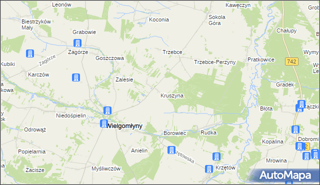 mapa Kruszyna gmina Wielgomłyny, Kruszyna gmina Wielgomłyny na mapie Targeo