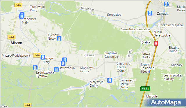 mapa Krzewa gmina Mirzec, Krzewa gmina Mirzec na mapie Targeo