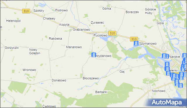 mapa Krzyżanowo gmina Śrem, Krzyżanowo gmina Śrem na mapie Targeo