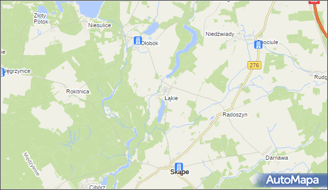 mapa Łąkie gmina Skąpe, Łąkie gmina Skąpe na mapie Targeo