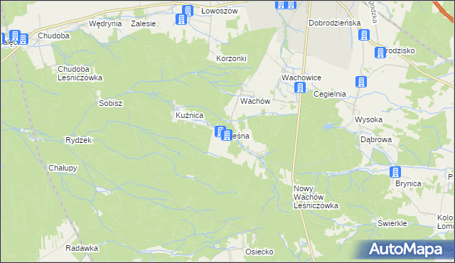 mapa Leśna gmina Olesno, Leśna gmina Olesno na mapie Targeo