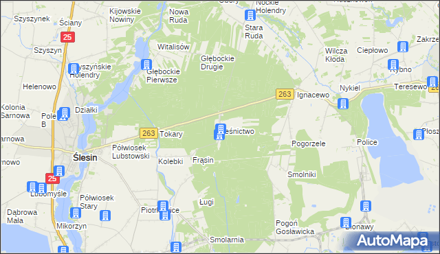 mapa Leśnictwo gmina Ślesin, Leśnictwo gmina Ślesin na mapie Targeo