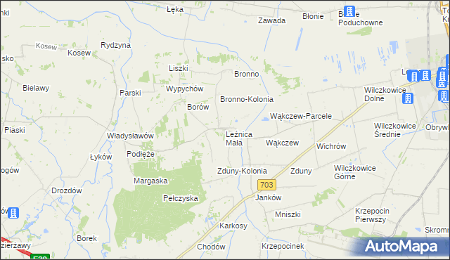 mapa Leźnica Mała, Leźnica Mała na mapie Targeo