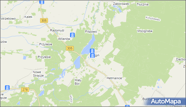 mapa Lgiń, Lgiń na mapie Targeo