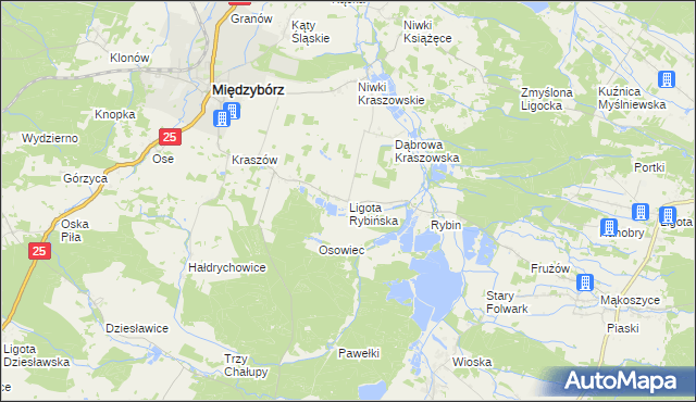 mapa Ligota Rybińska, Ligota Rybińska na mapie Targeo