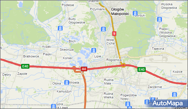 mapa Lipie gmina Głogów Małopolski, Lipie gmina Głogów Małopolski na mapie Targeo