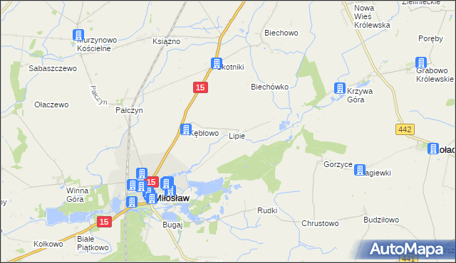 mapa Lipie gmina Miłosław, Lipie gmina Miłosław na mapie Targeo
