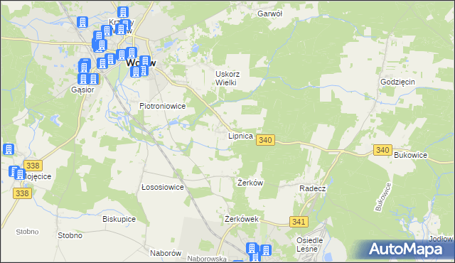 mapa Lipnica gmina Wołów, Lipnica gmina Wołów na mapie Targeo