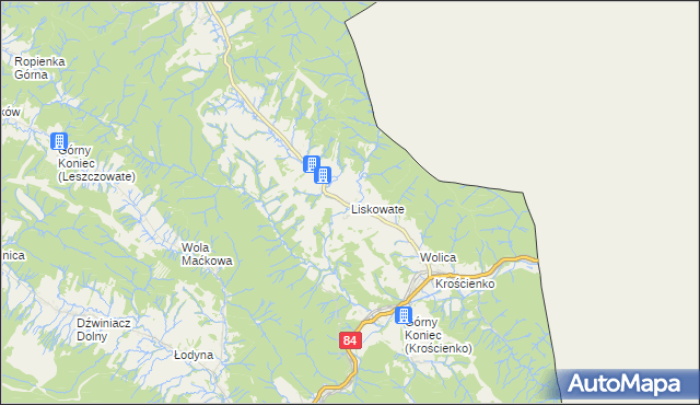 mapa Liskowate, Liskowate na mapie Targeo