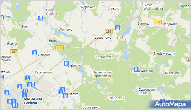 mapa Łopuchówko, Łopuchówko na mapie Targeo