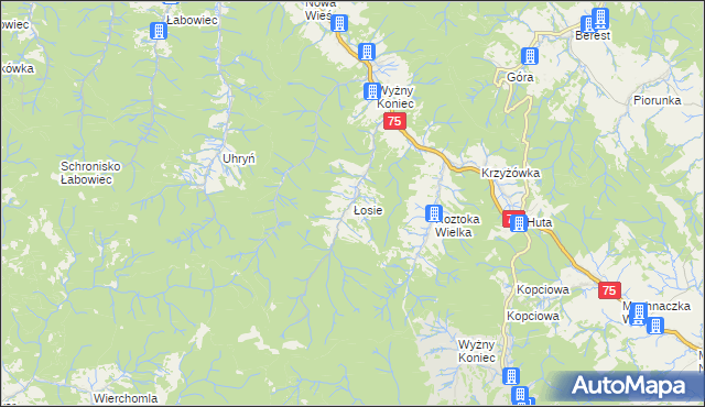 mapa Łosie gmina Łabowa, Łosie gmina Łabowa na mapie Targeo