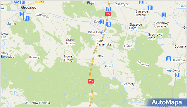 mapa Lubiny gmina Rychwał, Lubiny gmina Rychwał na mapie Targeo