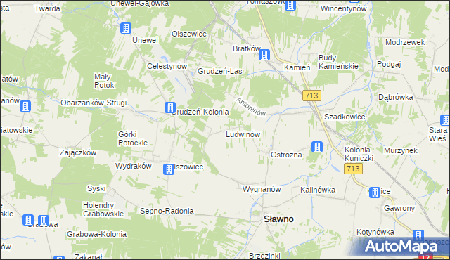 mapa Ludwinów gmina Sławno, Ludwinów gmina Sławno na mapie Targeo
