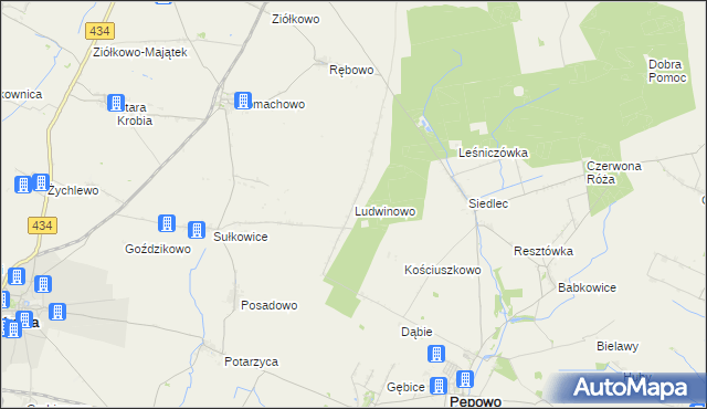 mapa Ludwinowo gmina Pępowo, Ludwinowo gmina Pępowo na mapie Targeo