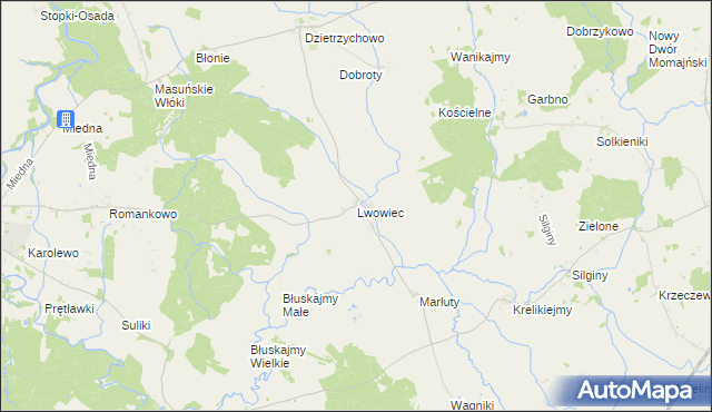 mapa Lwowiec, Lwowiec na mapie Targeo